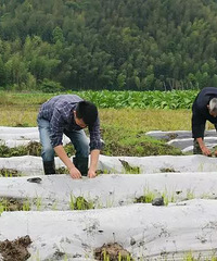 ˮˣҵҲһԾΪwanghongԱ