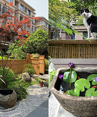 ʽСͥԺҪ绨ѩҲҪϹ԰