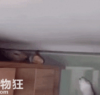 ���Ҳ����Լ��صĹ�ͷ��