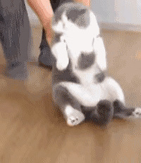 ������ϴ����ճ�״̬