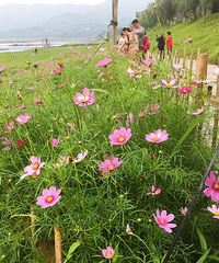 34��175cm ��ס����ƺ δ�� ϣ��������Դ���ȥ������