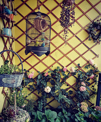 ֻ3ƽ׵㻨磬ҰѶֵǽ