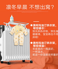 家有两个油丁转