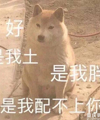 在这家理发店烫发真的需要勇气!烫完头发变成了枯草