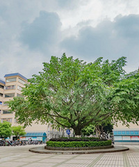 五一节,避开人从众,感受不一样的雅安【2019五一游记大赛】
