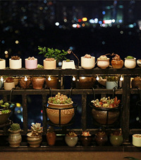 ϺĶ⻨԰ɹı̨˾µĶ