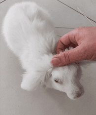 ͬ�°���������˹�ͷ