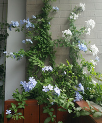 4µ¼ڹ󣬼ֿˣһһǾϲ