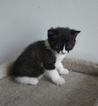 �к�����Ը���������