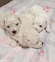 �ճ����ı��ܱ����ÿɰ�