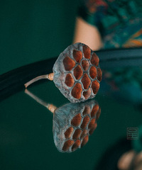 ��һ�鸴����Ƭ��չ��һ�����