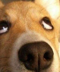 ���Ѿۻᣬ�и�������Ա���Լ��ǡ������ڡ����Ժ���ҫ