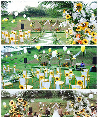 ҵĻֳȫտԪأϹһ̸жҸ