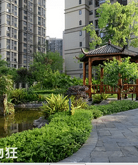 ������������������Сѧ2019��������Χ