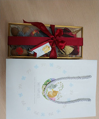 �ҵ����̻����ǺУ��������ӡ���Ҷ�͹�Բ