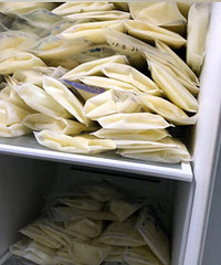 科学坐月子奶水多到爆