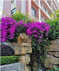 ������������ͯ��СѧУ2019���＾������Χ