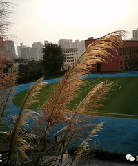 ������������ͯ��СѧУ2019���＾������Χ