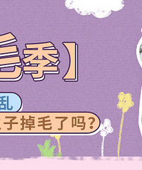 剪不断,理还乱,你家的主子掉毛了吗?