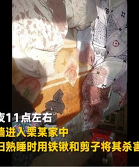 精神病人深夜逃离医院杀岳父岳母