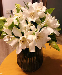 10元的栀子花,你们买了吗?