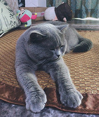 ˭��û˫������