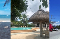 ɵİһľƵ꣬Լĺ̲Ͳ