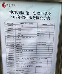 ɳƺСѧΧܣСѧУ2019