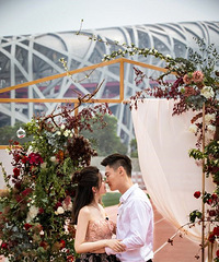 ���׷�����������520���ɹ��ˣ���Ž�����ֳ���