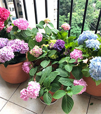 ҹͻϰҲӵ̨30һ費Լɫ