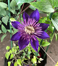 ҹ���ͻ����ϰ���Ҳ��ӵ������̨������30һ�費���Լ���ɫ