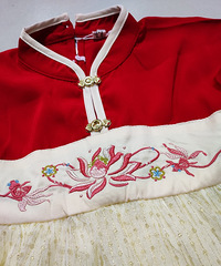 沉迷于汉服,120元给女儿买到这条汉服纱裙,前襟刺绣做工很赞