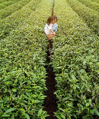 ʺºʹСĲ԰ط󻷾û