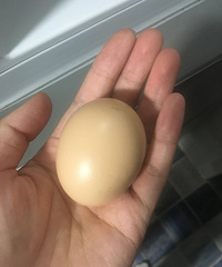 ���θ�����ļ��������������ϴμ۸񻹱���