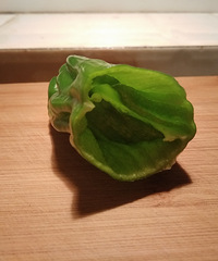 【糖豆的欢乐厨房】青椒酿肉