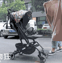 ӤƳϵġɱ֡һСĿҪ˺ӵ