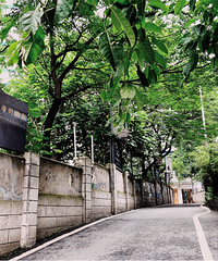 【直播】坐着轻轨打卡重庆这些游玩地,悠闲过一天