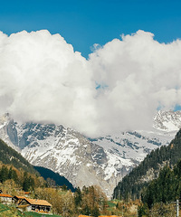 ����ȥ��ʿ���ģ�˳������߻���һ�����