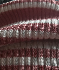 �������������è��T����Ҫ����ͬʱ�µ������֯������ĺ����