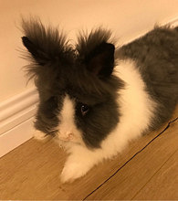 ί���ÿ�Ҫ�޳�����