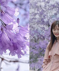 ùרȥwanghong麣ȷʵÿ