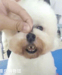 �������������Ҳ���׵�