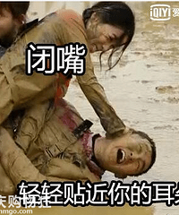 �����ر���ʫ�������������