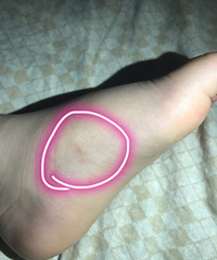 Ƽ޶ЬӣʿЬڽűеĥ