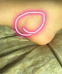 Ƽ޶ЬӣʿЬڽűеĥ