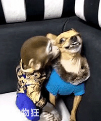 ��Ҫ�ּ�ȥ�Ǽ�����