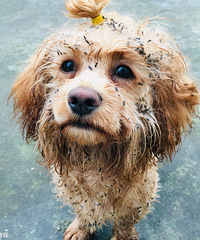 �����Ĺ���˭��Ҫ�����߰�