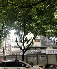 做完全飞秒近视手术,第二天正常用眼,全程无痛感