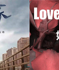 看了何以为家,我更坚定了丁克的想法