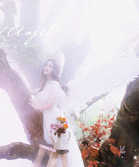 ����������Ҷ����ˣ������ĸ߼���